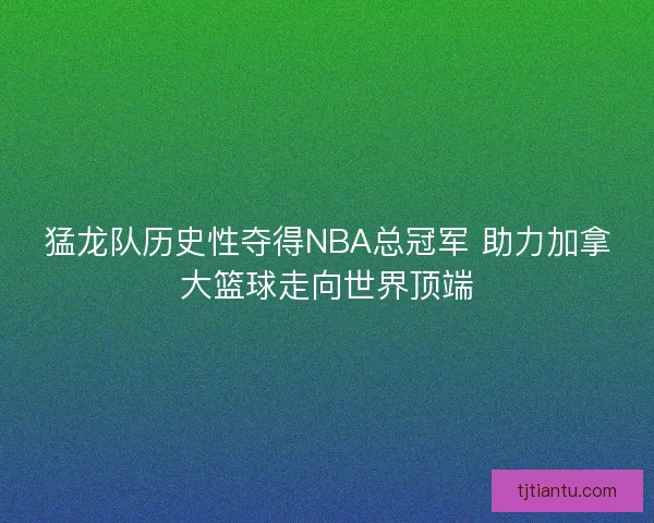 猛龙队历史性夺得NBA总冠军 助力加拿大篮球走向世界顶端