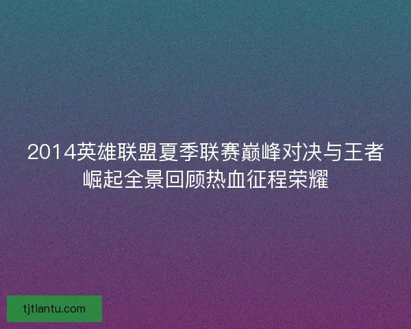 2014英雄联盟夏季联赛巅峰对决与王者崛起全景回顾热血征程荣耀