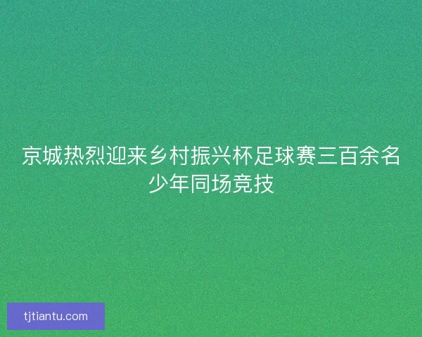 京城热烈迎来乡村振兴杯足球赛三百余名少年同场竞技