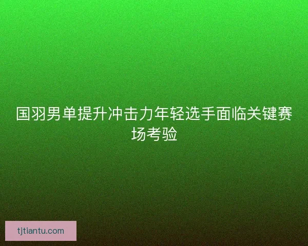 国羽男单提升冲击力年轻选手面临关键赛场考验